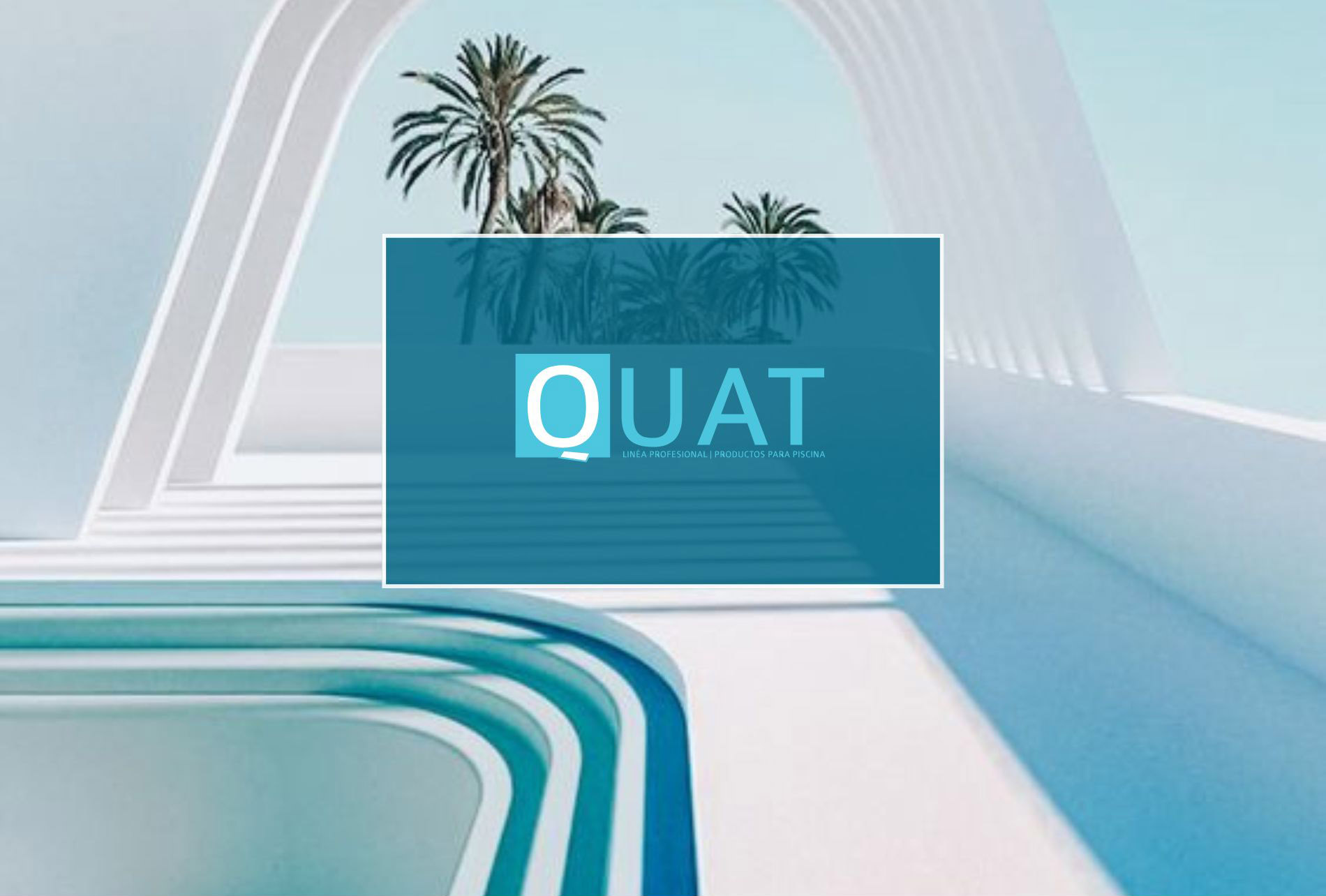 PRODUCTO QUIMICO - QUAT